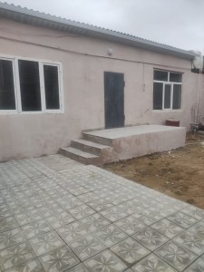image 377552