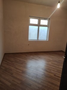 image 377552