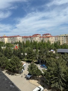 image 377570