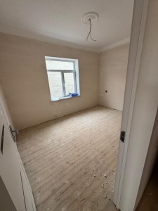 image 377573