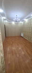 image 377575