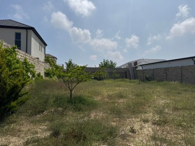 image 377577