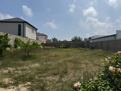 image 377577
