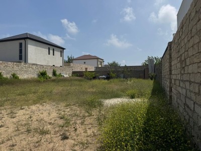 image 377577