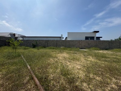 image 377577