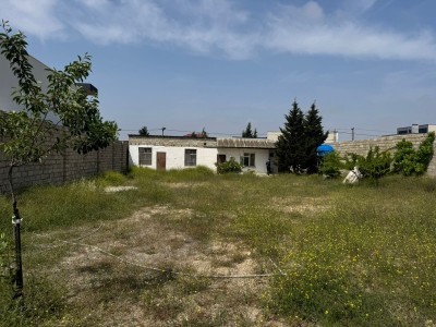 image 377577