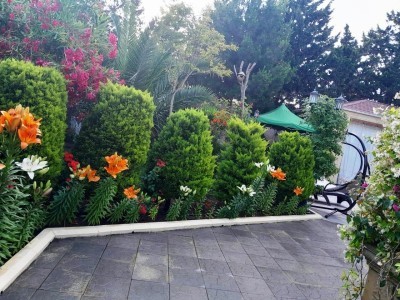 image 377578