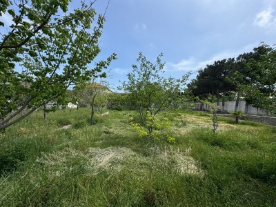 image 377581