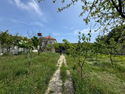 image 377581