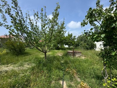 image 377581