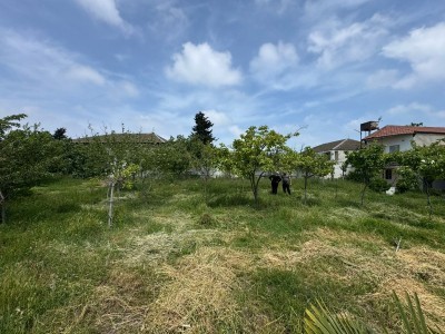 image 377581