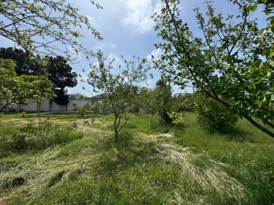 image 377581