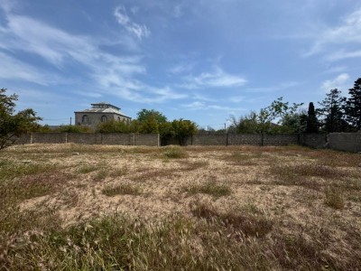 image 377584