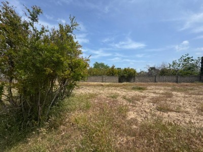 image 377584