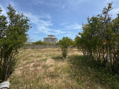 image 377584