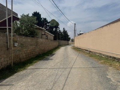 image 377584