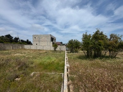 image 377584