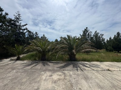 image 377586