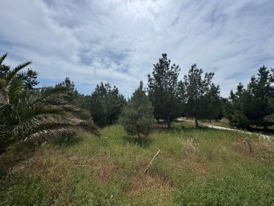 image 377586