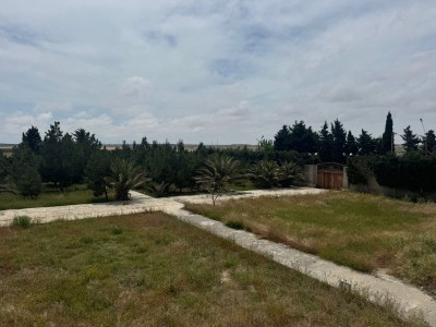image 377586