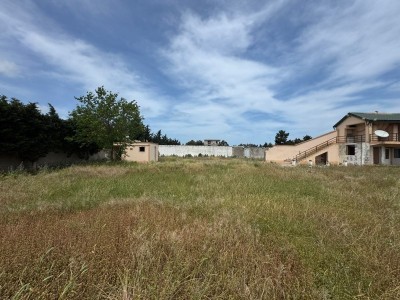 image 377586