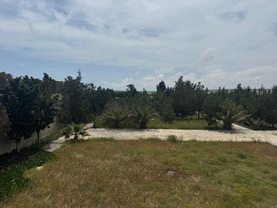 image 377586