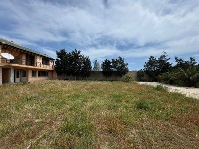 image 377586