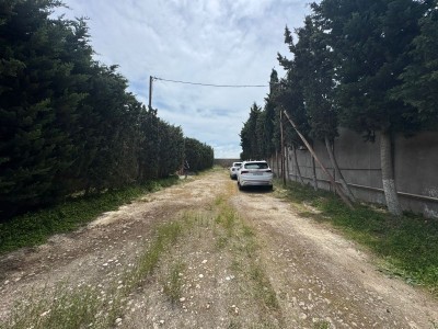 image 377586