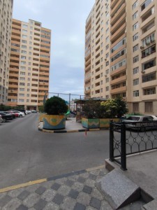 image 377591