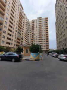 image 377591