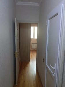 image 377592