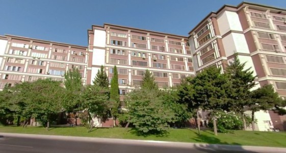 image 377592