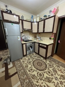 image 377595