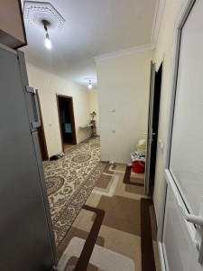 image 377595