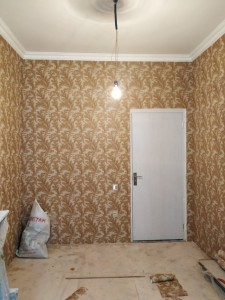 image 377606