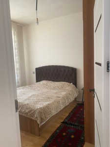 image 377615