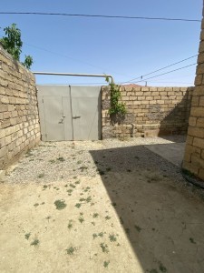 image 377615