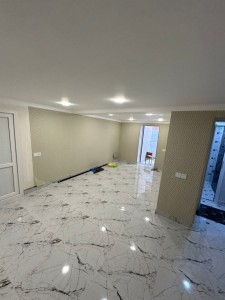 image 377617