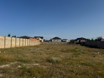 image 377618