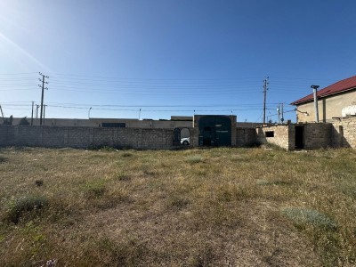image 377618