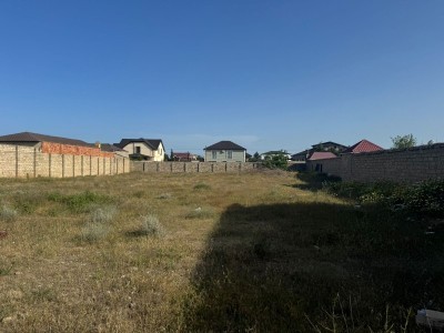 image 377618