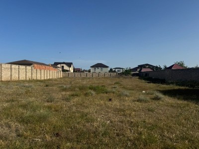 image 377618