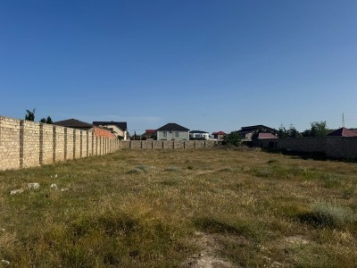 image 377618