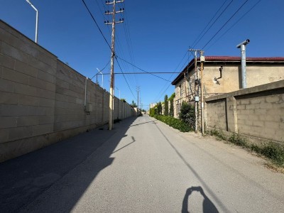 image 377618