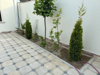 image 377627