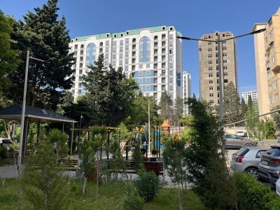 image 377629