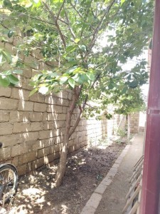 image 377638