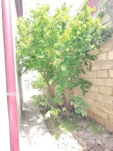 image 377638