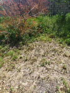 image 377642