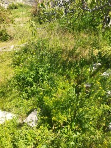 image 377642